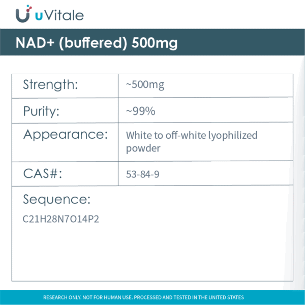 NAD+ (buffered) 500mg - Image 2